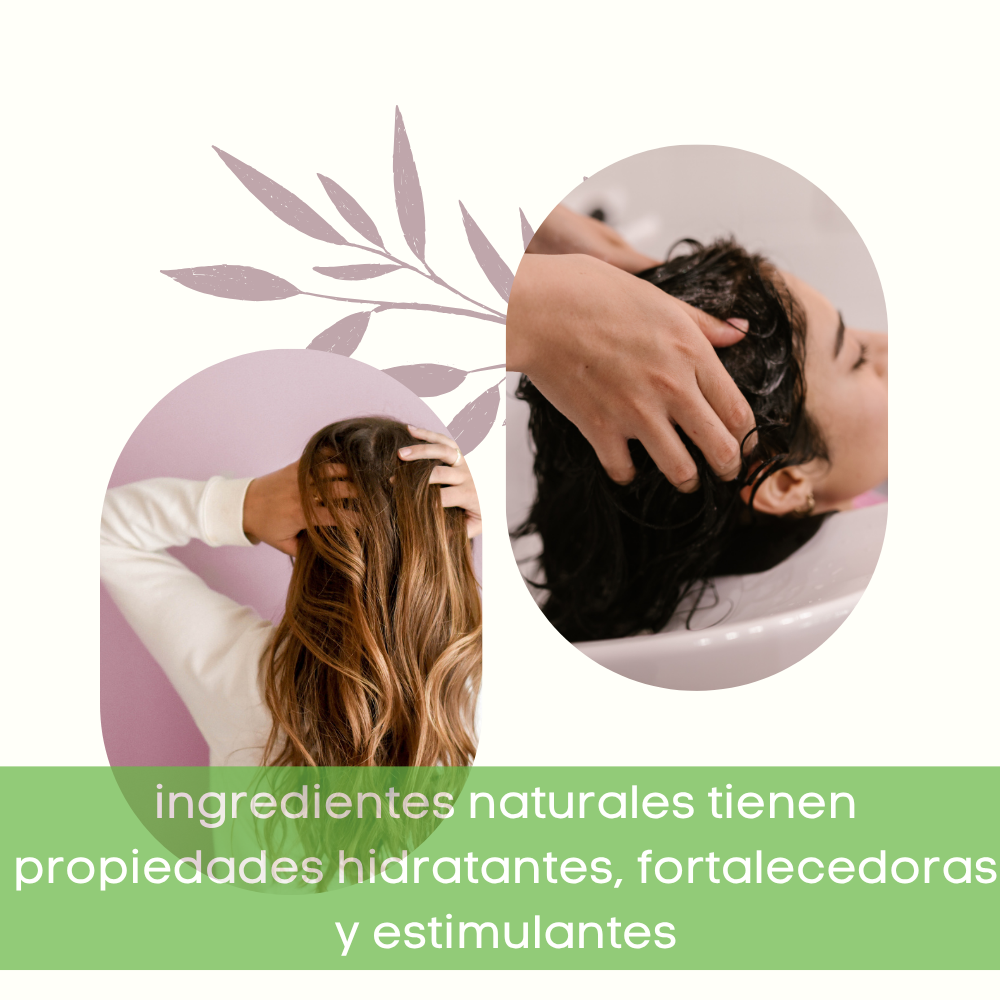 12 botellas Acondicionador de Cabello con Aceite de Argán, Manteca de Karité, Cacao y Sábila PocketCare Acondicionador para pelo, orgánico, 325ml