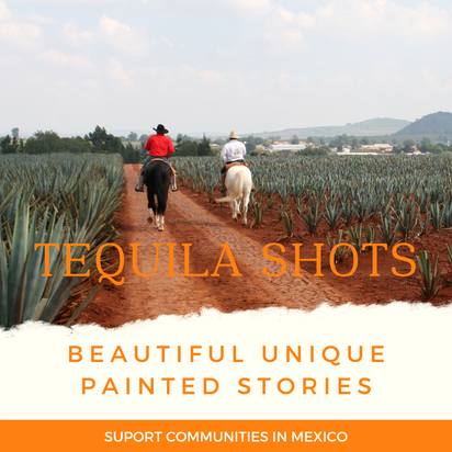 4 Vasos de Tequileros Pintados a Mano: El Toque Perfecto para tus Reuniones, Arte en Cada Sorbo: Vasos de Tequila Únicos y Hechos a Mano de cuatro colores diferentes