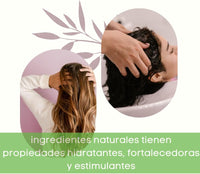 Shampoo Aloe vera con refill