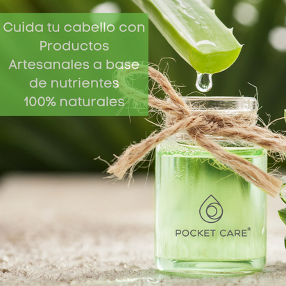 Shampoo para pelo orgánico, artesanal de pulpa de sábila en alta concentración, romero y nutrientes naturales, regenerador de cabello, Prevención caída del cabello e Hidratación 525 ml (Kit Shampoo + Refill, Aloe Vera)