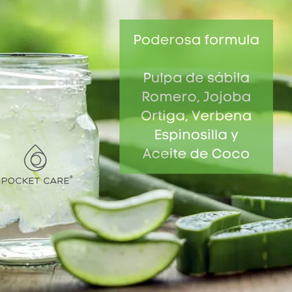 Shampoo para pelo orgánico, artesanal de pulpa de sábila en alta concentración, romero y nutrientes naturales, regenerador de cabello, Prevención caída del cabello e Hidratación 525 ml (Kit Shampoo + Refill, Aloe Vera)
